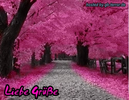 GB Bild Liebe Gruesse