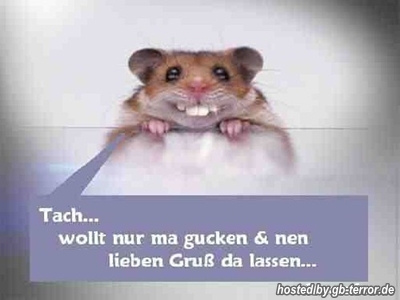 GB Bild Lieber Gruss