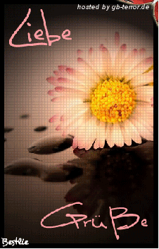 GB Bild Lieber Gruss