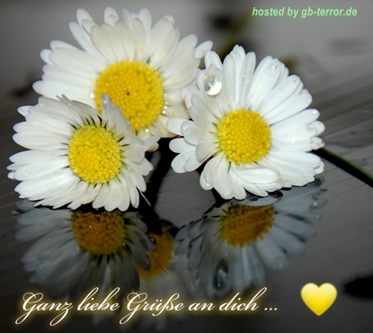 GB Eintrag Lieber Gruss