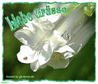 GB Eintrag Lieber Gruss