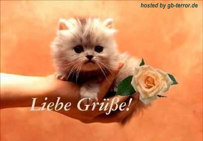 GB Eintrag Lieber Gruss