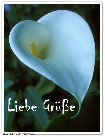 GB Pic Liebe Gruesse