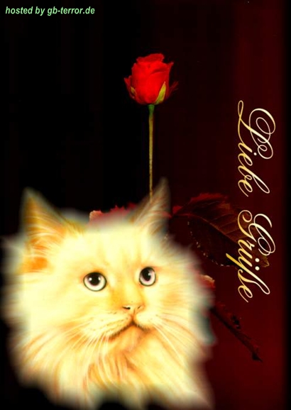 GBBild Liebe Gruesse