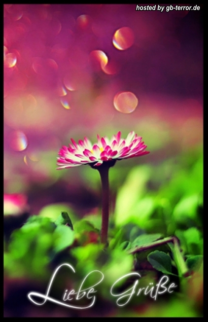 GBBild Liebe Gruesse