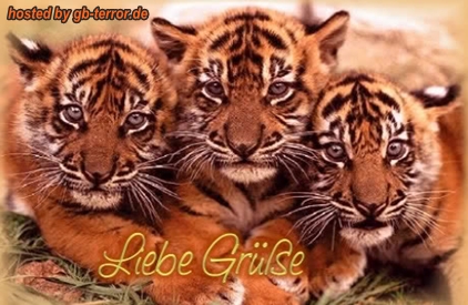 Liebe Gruesse Gaestebuch Bild