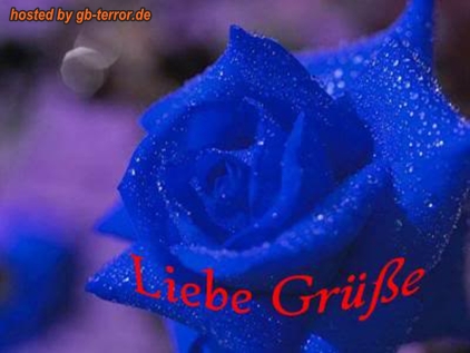 Liebe Gruesse Gaestebuch Bild