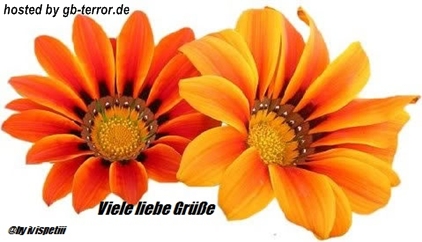 Liebe Gruesse Gaestebuch Bild