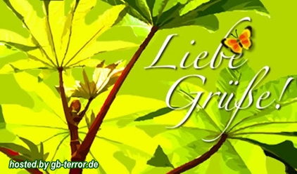 Liebe Gruesse Gaestebuch Bild