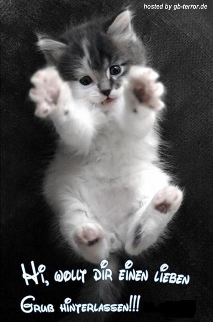 Liebe Gruesse Gaestebuch Bild