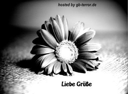 Liebe Gruesse Gaestebuch Bild