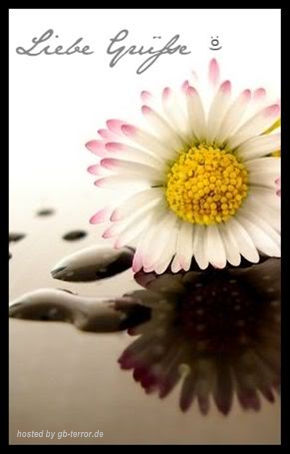 Liebe Gruesse Gaestebuchbild