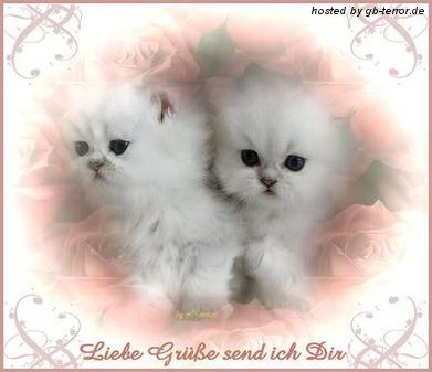 Liebe Gruesse GB-Eintrag