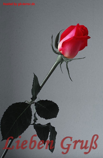 Liebe Gruesse GB Bild