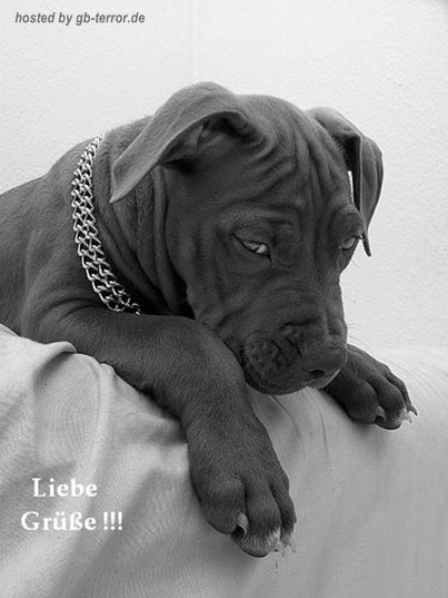 Liebe Gruesse Gb Pic