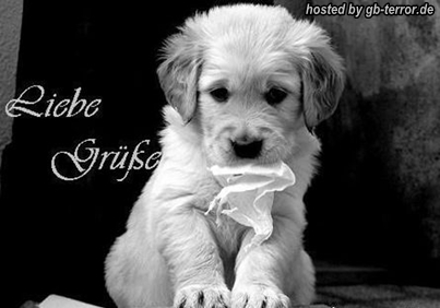Liebe Gruesse GbBild