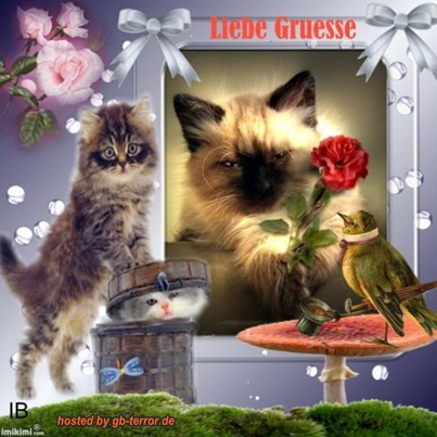 Liebe Gruesse GbPic