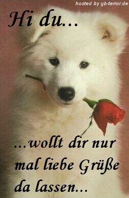 Lieber Gruss Gaestebuch Bild