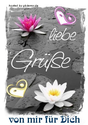 Lieber Gruss Gaestebuch Bild