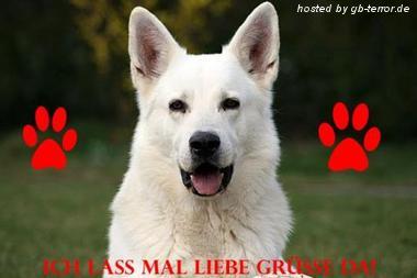 Lieber Gruss Gaestebuch Bild