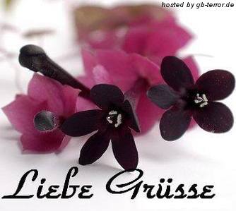 Lieber Gruss GB-Pic