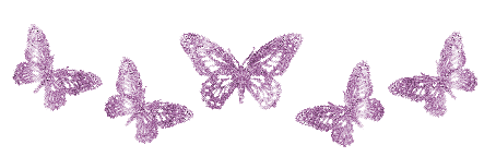 Gaestebuch Bild Trennbalken