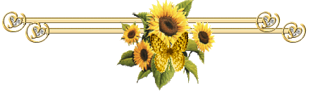 Gaestebuch Bild Trenner