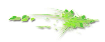 Gaestebuch Bild Trennlinie