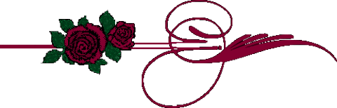 Gaestebuchbild Trennlinie