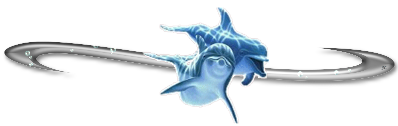 Gaestebuchbild Trennlinie