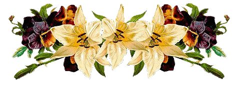 GB Eintrag Trennlinie