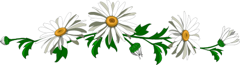 Trennbalken fuer Gb Pics