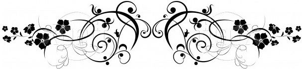 Trenner fuer Gaestebuchbilder