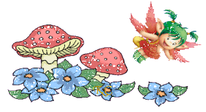 Trennlinie fuer Gaestebuchbilder