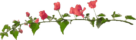 Trennlinie fuer GBPics