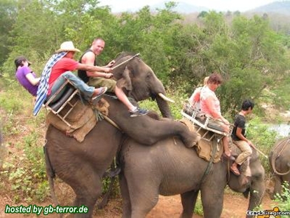 Lustiges Gaestebuch Bild