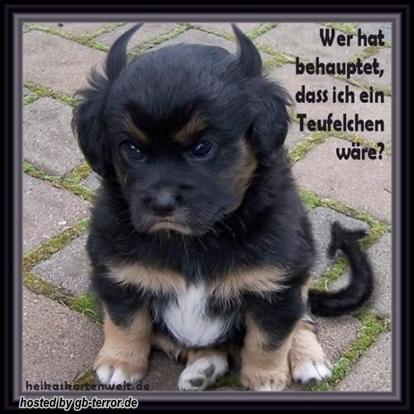 Lustiges Gaestebuch Bild