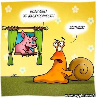 Witziges Gaestebuch Bild