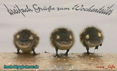 Gaestebuch Bild Mittwoch