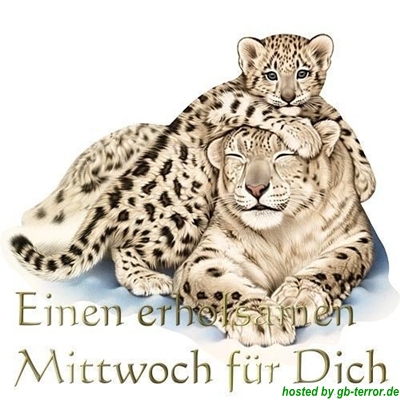 Gaestebuch Bild Mittwoch