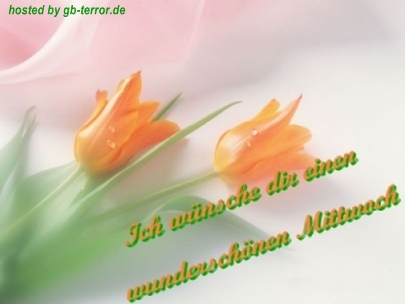 Gaestebuchbild Mittwochsgruesse