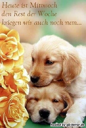 Gaestebuchbild Mittwochsgruss