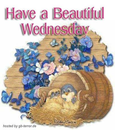 Gaestebuchbild Mittwochsgruss