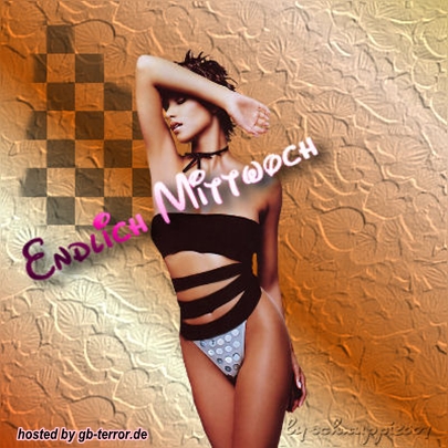 Gaestebuchbild Mittwochsgruss