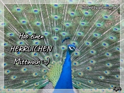 GB-Pic Mittwochsgruss