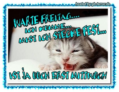 GB Bild Mittwochsgruesse