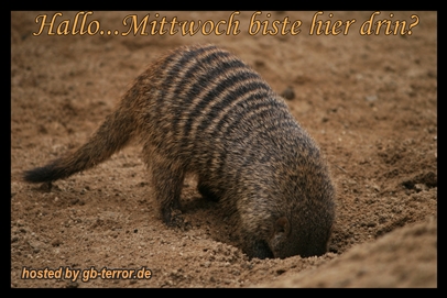 Mittwoch Gaestebuchbild