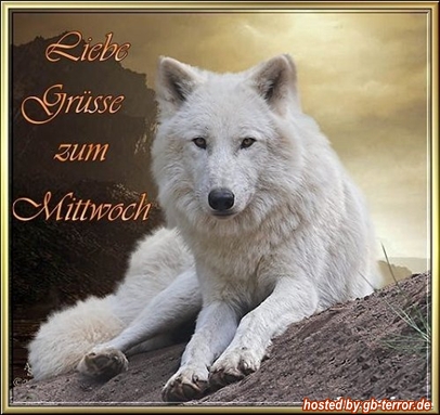 Mittwochs Gaestebuchbild