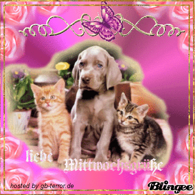 Mittwochsgruesse Gaestebuch Bild