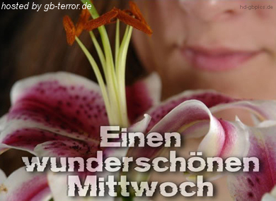 Mittwochsgruesse GB Eintrag